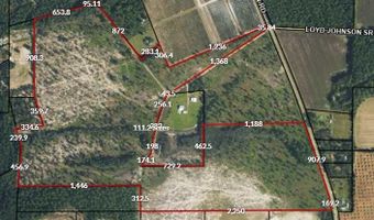 TBD Cartertown Rd, Alma, GA 31510