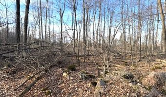 THORN APPLE Drive Lot 2, Wittenberg, WI 54499