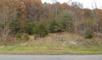 Spoon Gap Rd, Abingdon, VA 24211