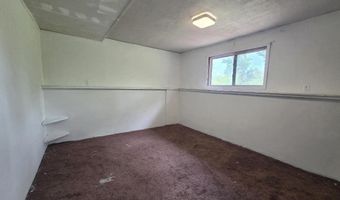 7028 Barney Rd, Alanson, MI 49706