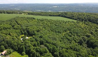1608 Braintree Hill Rd, Braintree, VT 05060