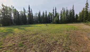 1317 ALASKA Hwy, Tok, AK 99780