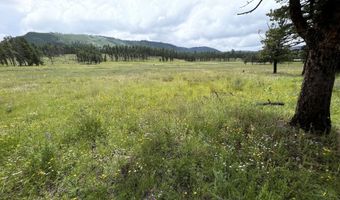 1 A FOREST ROAD 26, Alpine, AZ 85920