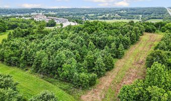 Highway 76 lot 0, Anderson, MO 64831