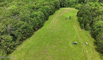 Vine Drive, Brandon, MS 39047