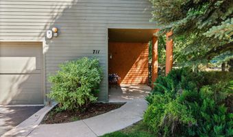 711 Evans Ct, Basalt, CO 81621