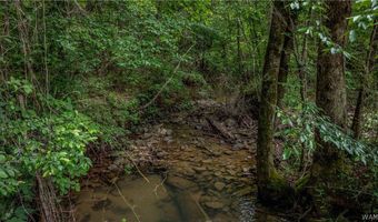 350 Hershell Henry Rd, Bankston, AL 35542