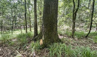 Pine Lodge Road, Batesville, MS 38606