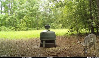 2233 Holloman Rd, Bentonia, MS 39040