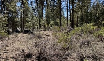 Horned Owl Lane, Bonanza, OR 97623