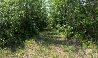 Christian Hts Road, Braxton, MS 39044