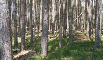 10804 LAKE SHORE Dr 73, Arbor Vitae, WI 54568