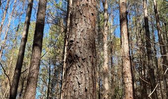 0 CR 437, Ashland, MS 38603