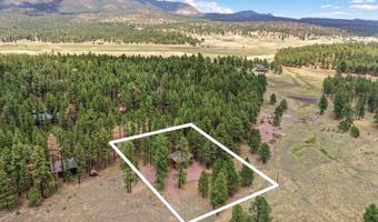24 County Rd 2079, Alpine, AZ 85920