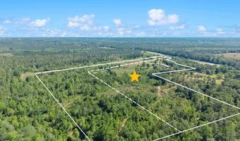 39207-1 State Highway 59, Bay Minette, AL 36507