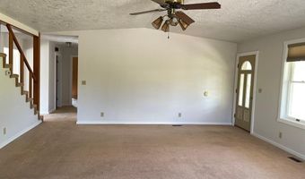 3100 Challis Creek Rd, Challis, ID 83226