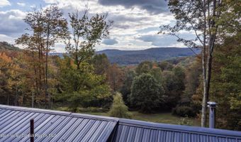209 Alder Pond Rd, Andes, NY 13731