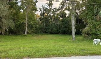 24916 BUTLER St, Astor, FL 32102