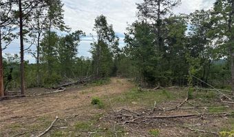 Tract 4 Hidden Valley, Annapolis, MO 63628