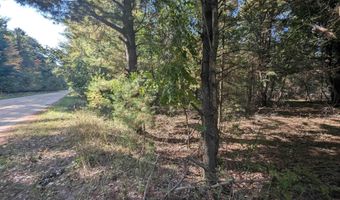 N Forest Lake Drive, Alger, MI 48610