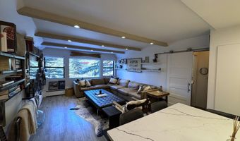 927 VINE St, Aspen, CO 81611