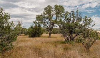 TBD Hwy 246, Capitan, NM 88316