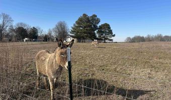 7066 Vivians Rd, Anderson, AL 35610