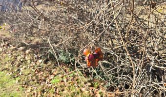 416284 E 1950 Rd, Antlers, OK 74523