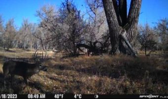TBD County Road 170, Agate, CO 80101