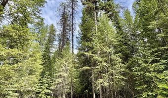 258 Welcome Ln, Bonners Ferry, ID 83805