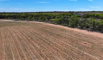 Tract 1 TBD PVT RD 3561, Anson, TX 79501