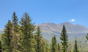 88 CLUB HOUSE Rd, Breckenridge, CO 80424