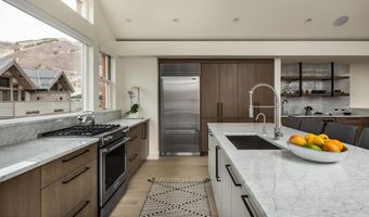 704 E Hyman Ave, Aspen, CO 81611