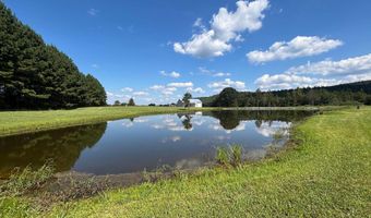 6150 SHOAL CREEK Rd 124+/- Acres, Ashville, AL 35953