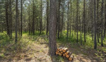 2500 E Marnett Rd, Athol, ID 83801