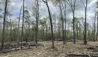 State Hwy N Tract G, Ava, MO 65608