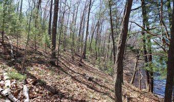 Lot WITCHES LAKE RD, Arbor Vitae, WI 54568