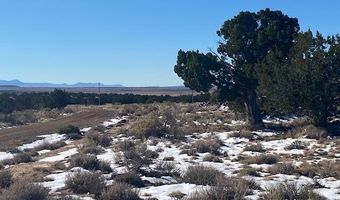 211 Windmill Rnch, Carrizozo, NM 88301