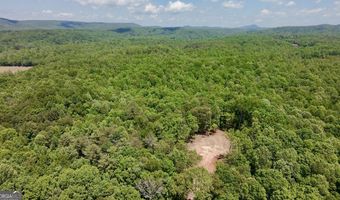 0 Hwy 105, Baldwin, GA 30511