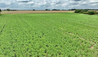 290 CR, Asbury, MO 64832