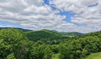 240 Dowie Rd, Andes, NY 13731
