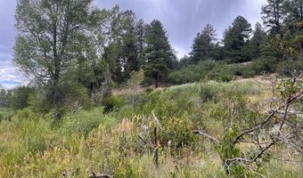 3230 Bear Creek Rd, Bayfield, CO 81122
