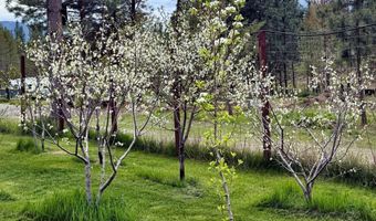 295 Glacier Rd, Bonners Ferry, ID 83805