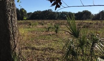 7237 NE 33rd Ct, Anthony, FL 32617