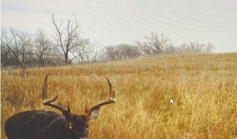 21438 Hayes St, Ackworth, IA 50001