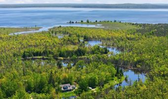 8301 Marathon Way, Alanson, MI 49706