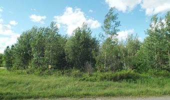 80 AC RAILROAD Ave, Argonne, WI 54511