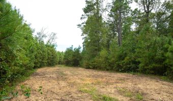 1 Vie Terre Beau Rd, Basile, LA 70515