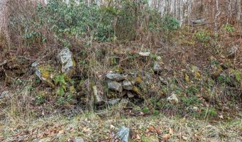 NC 209 Highway, Aurora, NC 28743