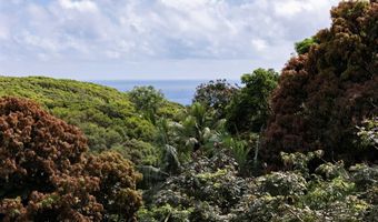 420 Haumana Rd, Haiku, HI 96708